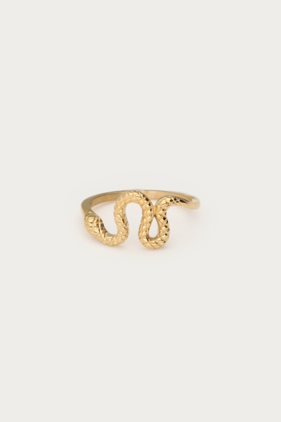 Picture of Ring met slang