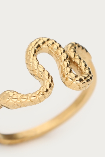 Picture of Ring met slang