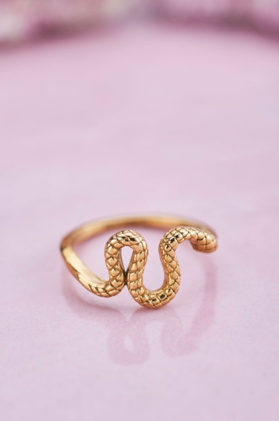 Picture of Ring met slang