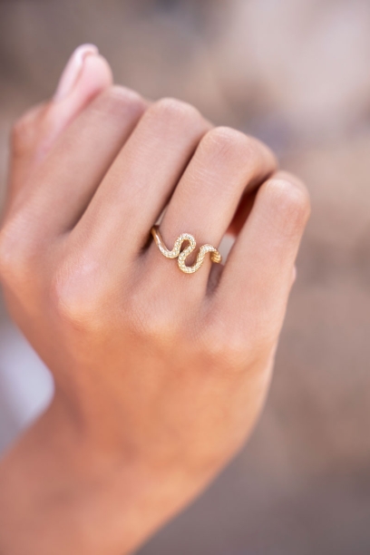 Picture of Ring met slang