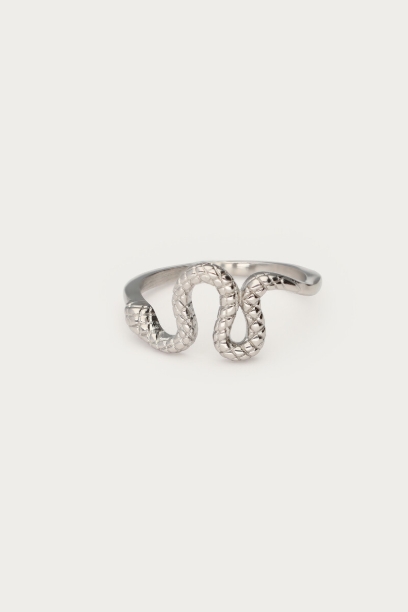Picture of Ring met slang