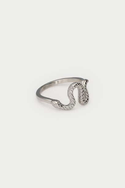 Picture of Ring met slang