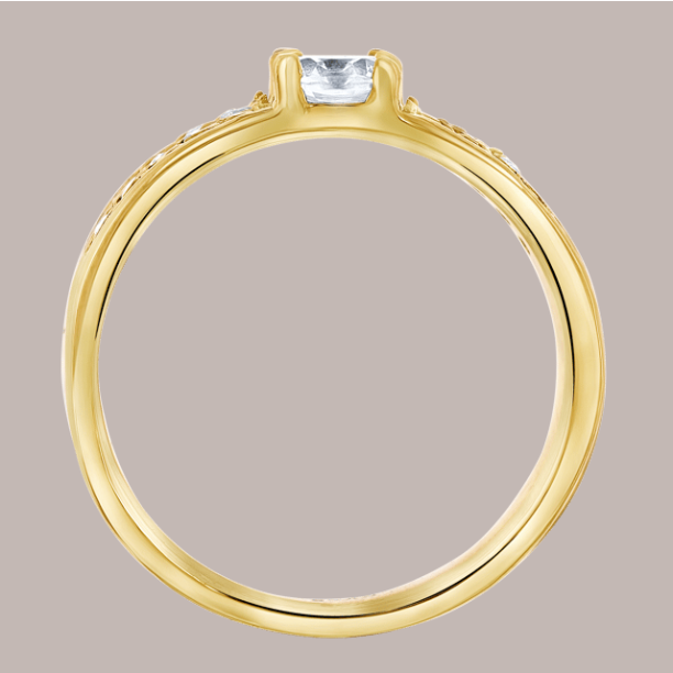 Picture of Stainless steel dames ring met zirkonia