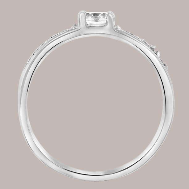 Picture of Stainless steel dames ring met zirkonia